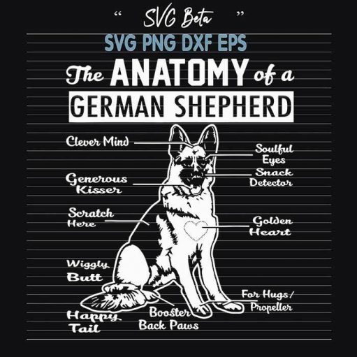 The anatomy of german shepherd svg