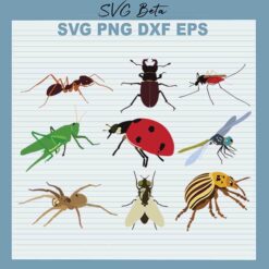 Insect Bundle svg
