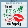 Im not irish but kiss me anyway svg
