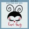 Love Bug Svg