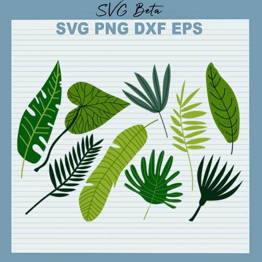 Bundle Tropical Leaves SVG