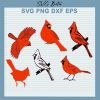 Cardinal Bird Bundle Svg
