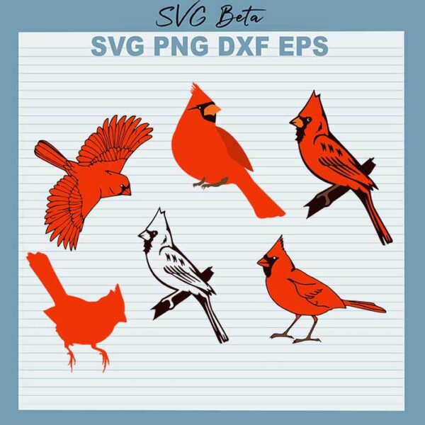 Cardinal bird bundle svg