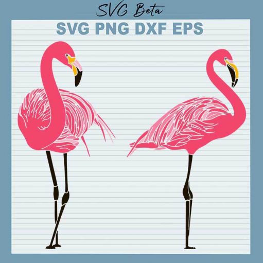 Pretty Flamingo Svg