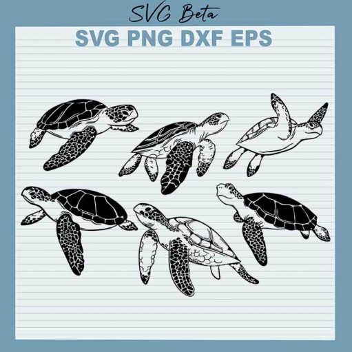 Sea Turtle SVG