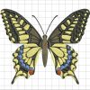 Bufterfly color Embroidered design