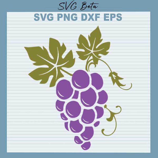 Grape svg