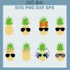 Pineapple Sunglasses Bundle svg