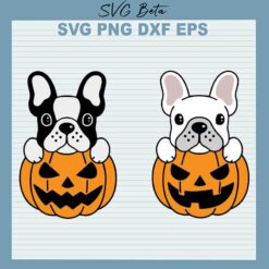 Halloween Pumpkin Bulldog SVG