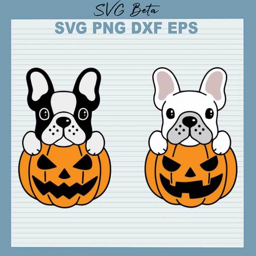 Halloween Pumpkin Bulldog Svg