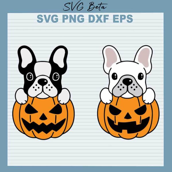 Halloween Pumpkin Bulldog SVG