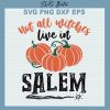 Not All Witches Live In Salem SVG