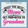 Only The Best Moms Get Promoted To Grandma Svg
