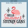 Hello Summer Shenangans SVG