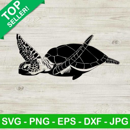 Sea turtle SVG