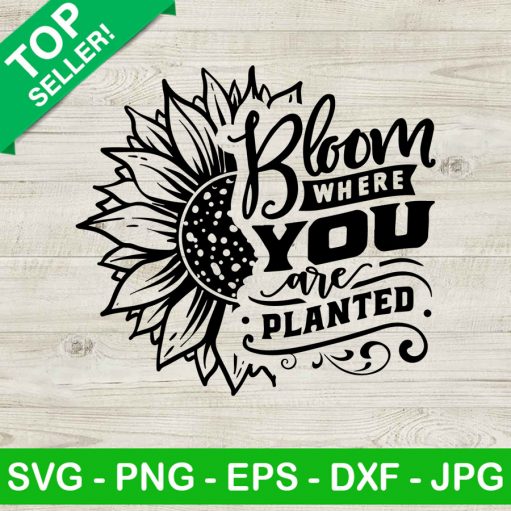 Bloom Where You Are Planted SVG