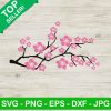 Cherry Blossom Svg