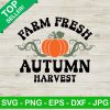 Farm Fresh Autumn Harvest SVG