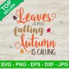 Leaves Are Falling Autumn Is Calling SVG