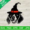 Dog Witches Hat Svg