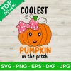 Coolest pumpkin in the path SVG