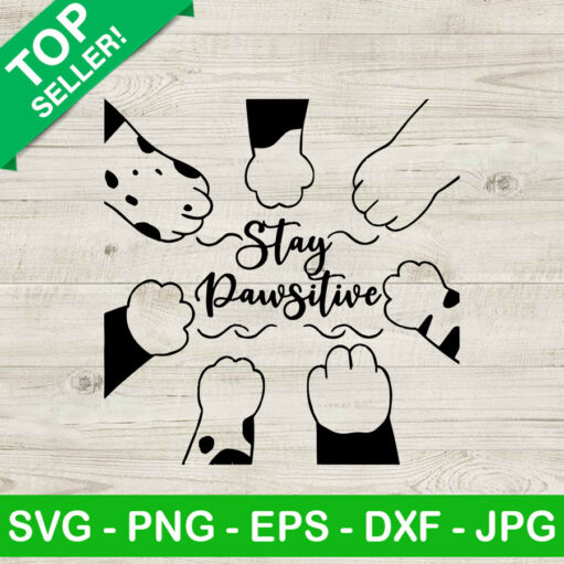 Stay Pawsitive Cats Hand Svg