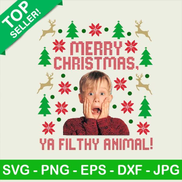Merry christmas ya filthy animal PNG