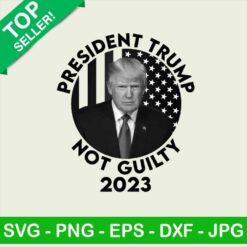 President Trump not guilty 2023 PNG, Donald Trump mugshot Sublimation transfer PNG, Trump mugshot not guilty Heat Transfer PNG