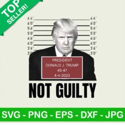 Trump not guilty mug shot PNG, Donald Trump mugshot Sublimation transfer PNG, Trump mugshot not guilty Heat Transfer PNG