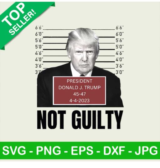 Trump Not Guilty Mug Shot Png