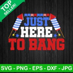 Just here to bang fireworks SVG