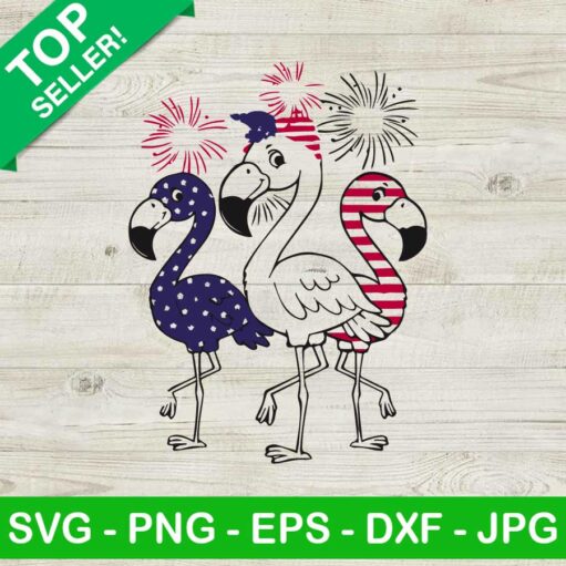 Plamigo 4th of july fireworks SVG