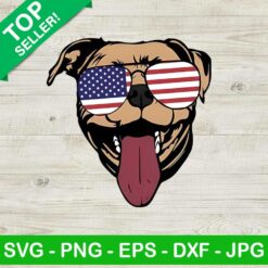 Pitbull With American Sunglasses PNG, Pitbull Dog Sublimation transfer PNG, American Sunglasses Heat Transfer PNG