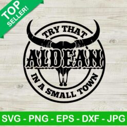 Try that in a small town Aldean SVG, Jason Aldean song lyrics SVG, Jason Aldean country music SVG PNG cut file cricut