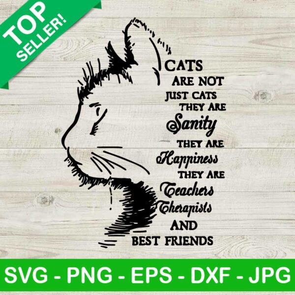 Cats Are Not Just Cats They Are Sanity SVG, Cats They Are Happiness They Are Teachers SVG, Cats Are Not Just Cats SVG