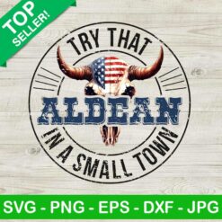 Try That In A Small Town US Bull Skull PNG