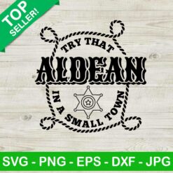 Aldean Try that in a small town lyrics SVG