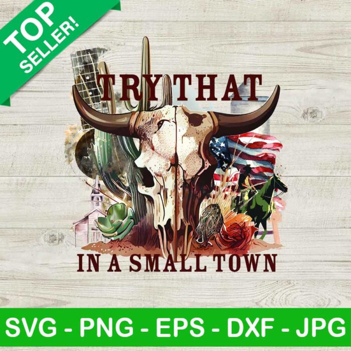 Try that in a small town Bull skull PNG, Jason Aldean lyrics Sublimation transfer PNG, Jason Aldean Heat Transfer PNG