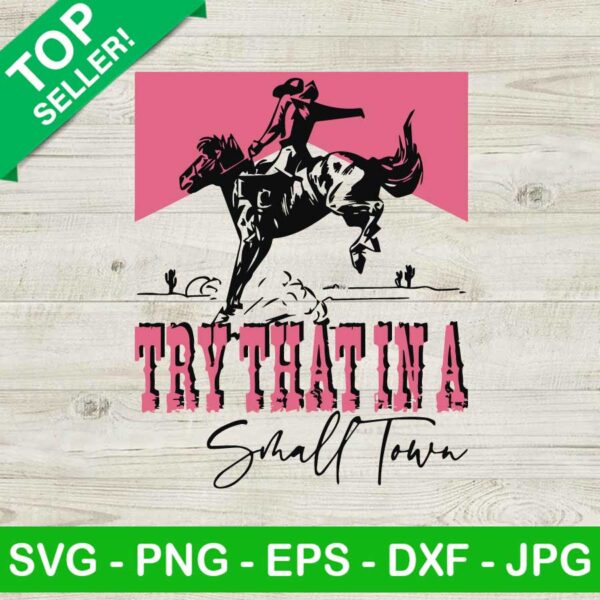 Cow girl try that in a small town SVG, Jason Aldean cowboy western SVG, Jason Aldean Country Music SVG