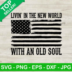 Livin in the new world with an old soul SVG, Oliver Anthony US Flag SVG, Oliver Anthony SVG, Country music lyrics SVG