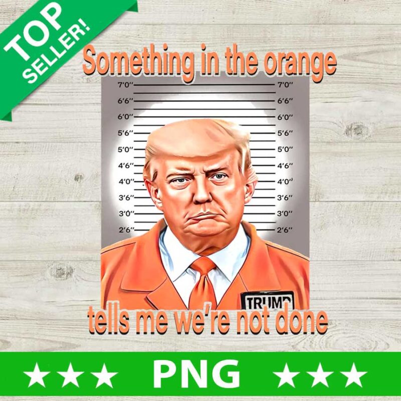 Something in the orange tells me we're not done PNG, Donald Trump Mugshot Sublimation transfer PNG, Trump Mug shot orange PNG