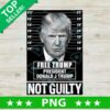 Free Trump not Guilty PNG