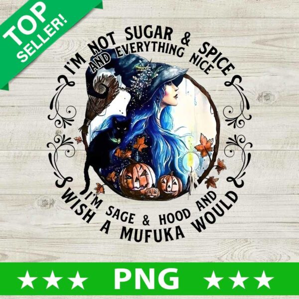 Halloween Witches I'm Not Sugar And Spice And Everything Nice PNG