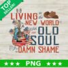 Living In The New World With An Old Soul Us Flag PNG