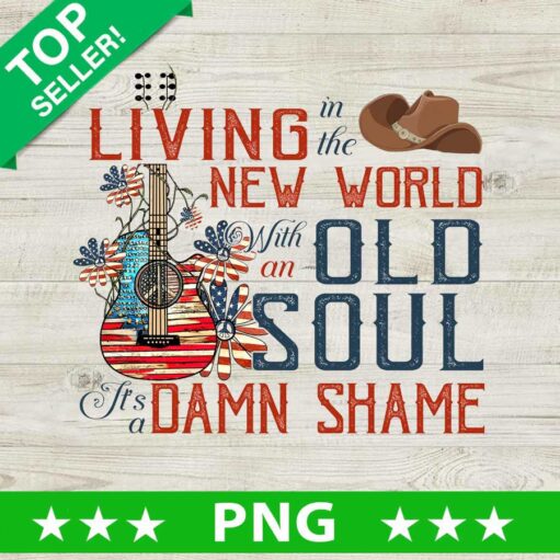 Living In The New World With An Old Soul Us Flag PNG