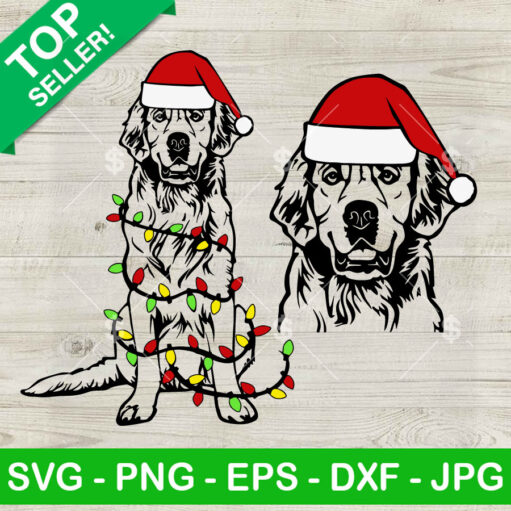 Golden Retriever Christmas Light Svg