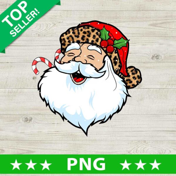 Leopard Santa Claus PNG