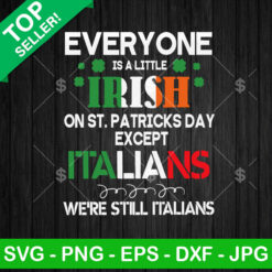 Everyone Is A Little Irish On St Patricks Day Except Italians SVG, Italians St Patrick's Day SVG, Irish SVG PNG DXF EPS