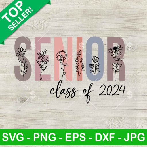 Vintage Senior Class Of 2024 Svg