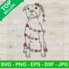 Pitbull Dog Heart SVG